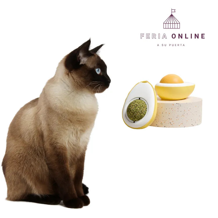 Bolita De Catnip Giratoria Forma de Huevo