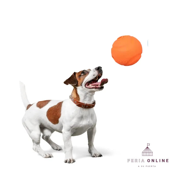 Pelota Premio TPR