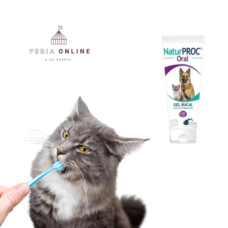 Naturproc Limpieza Dental Perros Y Gatos En Gel Sabor Miel 60 ML