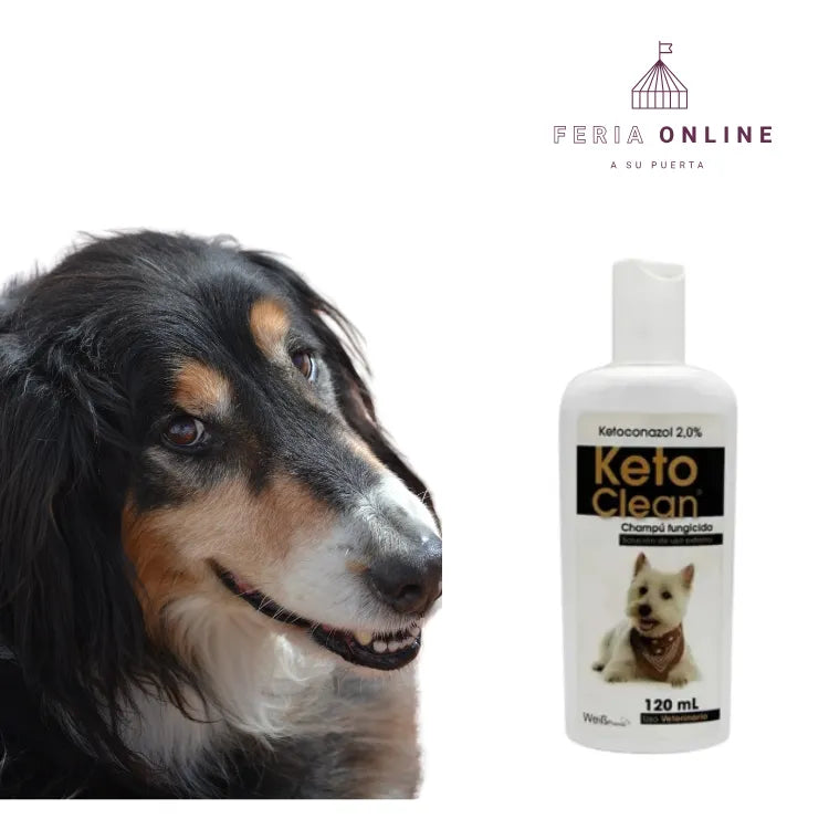 Shampoo Medicado Para Perros Keto Clean 120 ML