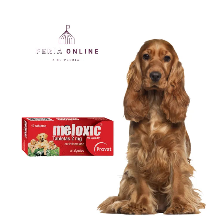 Meloxic Tabletas Perros - Antiinflamatorio y Analgésico