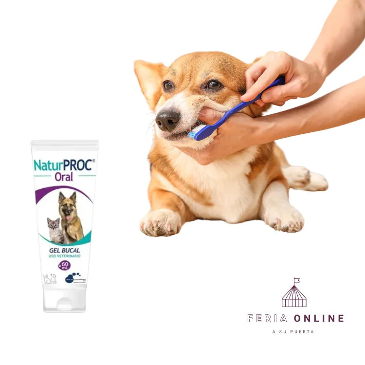 Naturproc Limpieza Dental Perros Y Gatos En Gel Sabor Miel 60 ML