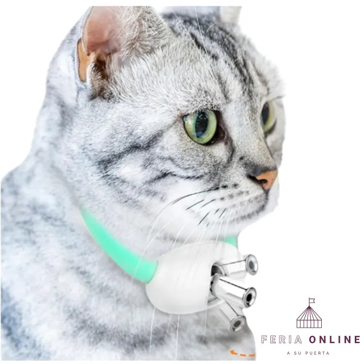 Collar Láser Para Gatos