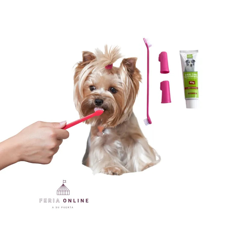Kit Dental Para Mascotas