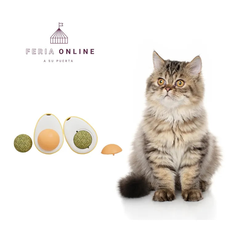 Bolita De Catnip Giratoria Forma de Huevo