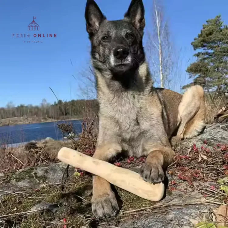 Palo de Café para Perros