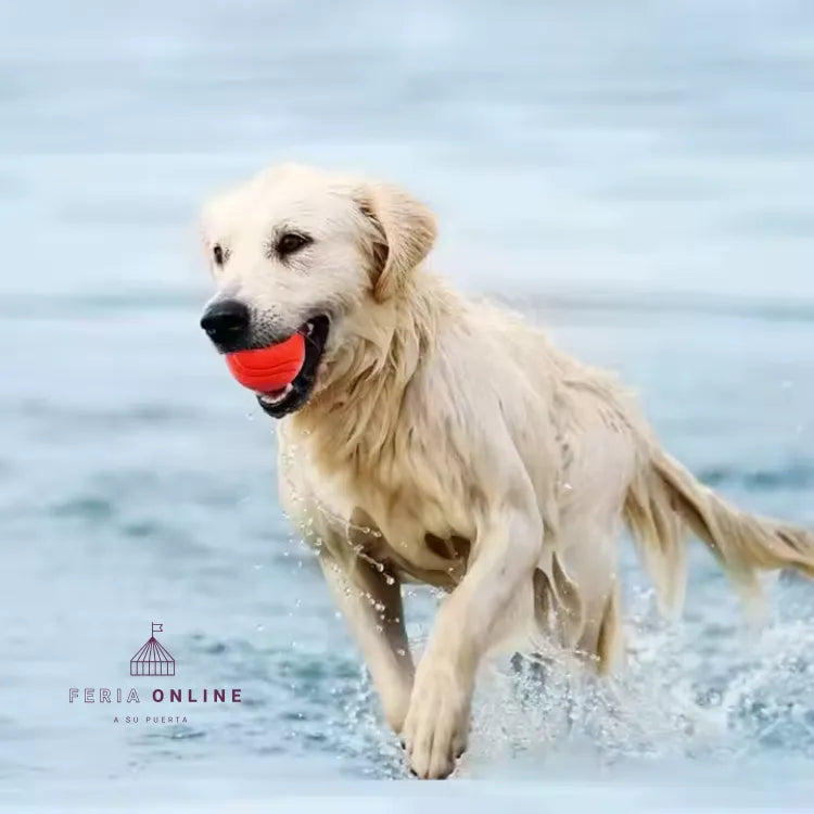 Pelota Grande TPR Para Mascotas