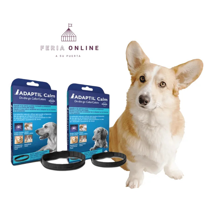 Adaptil Calm Collar