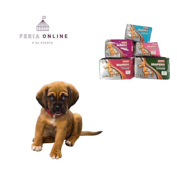 Pañales Desechables para Perro