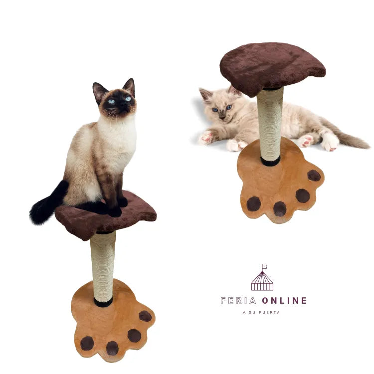 Gimnasio Con Rascador Huella para Gatos