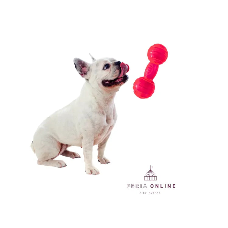 Juguete Para Perro Forma De Hueso Silicona