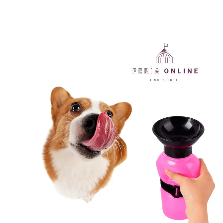 Bebedero Aqua Dog