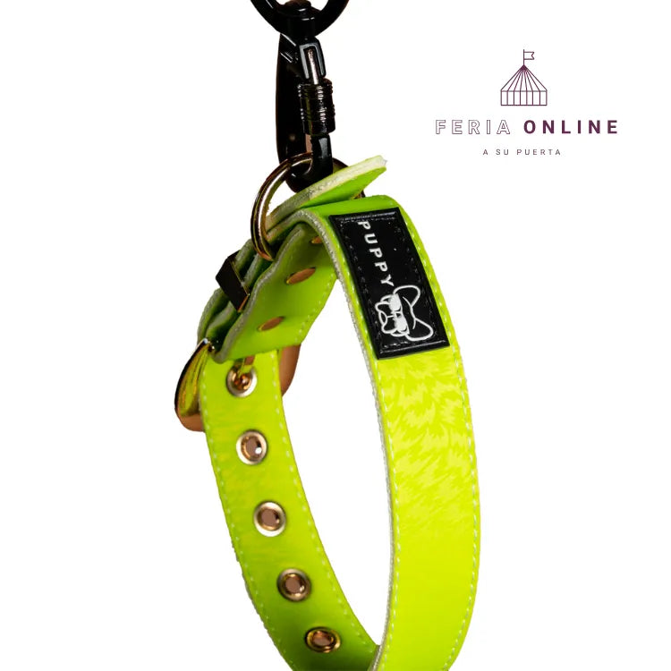 Collar + Correa Premium Puppy Pets