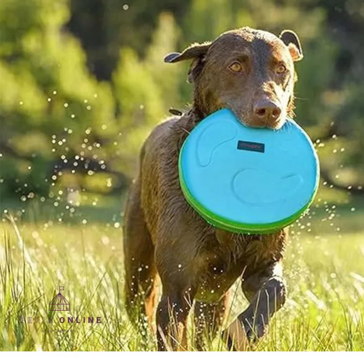Frisbee de tela