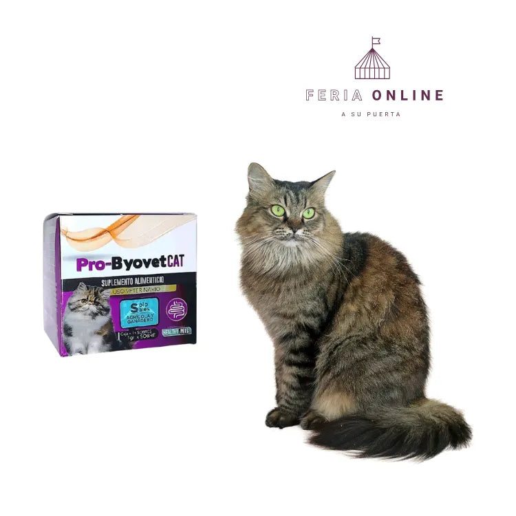 Pro- Byovet Cat