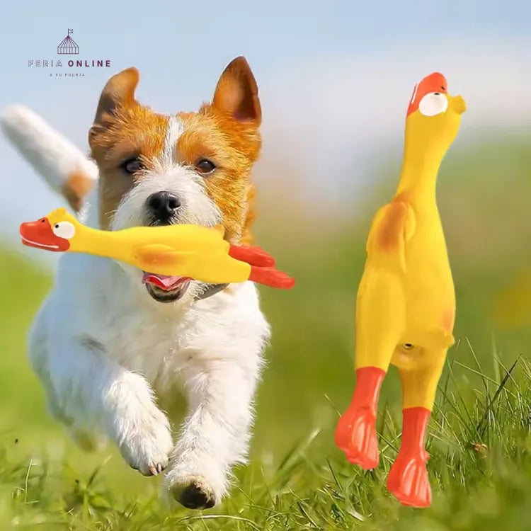Pato Chillón 23CM