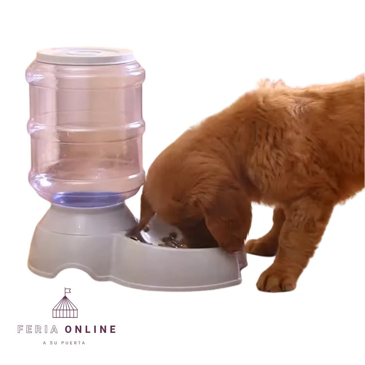 Dispensador De Agua Botellon