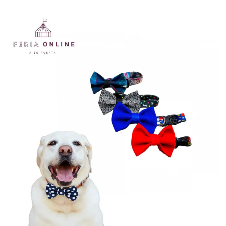 Collar Corbatín