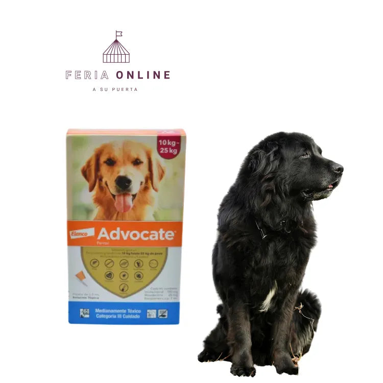 Antipulgas Advocate En Pipeta Para Perros 10-25 KG UND