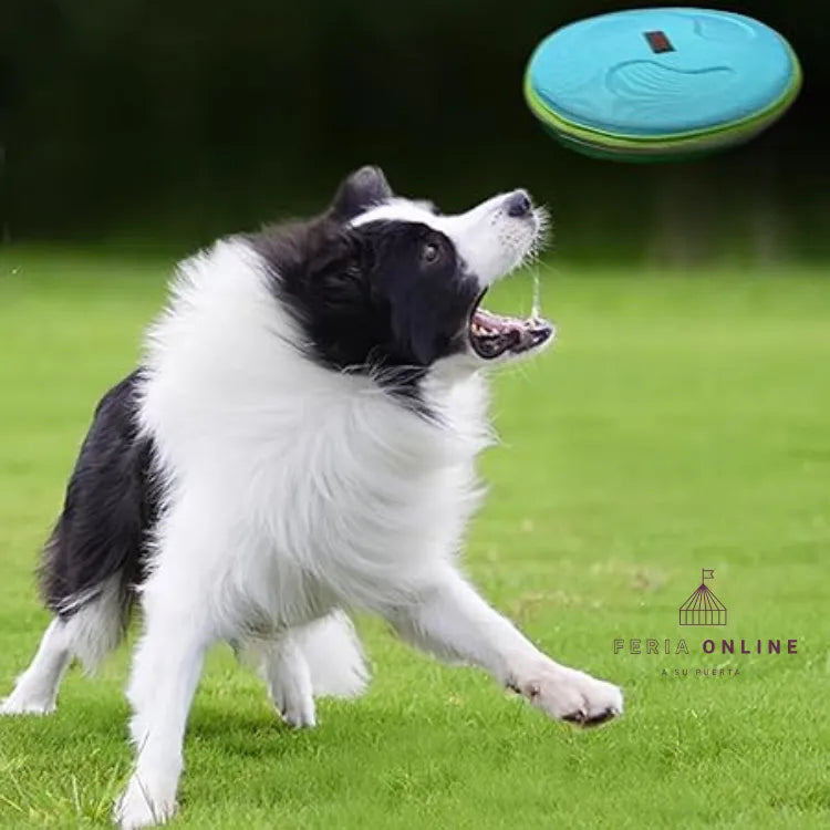 Frisbee de tela