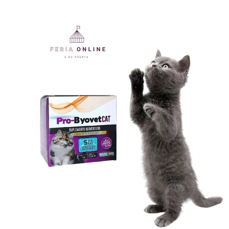 Pro- Byovet Cat