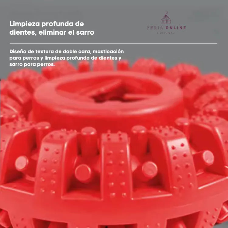 Llanta Interactiva Portasnacks