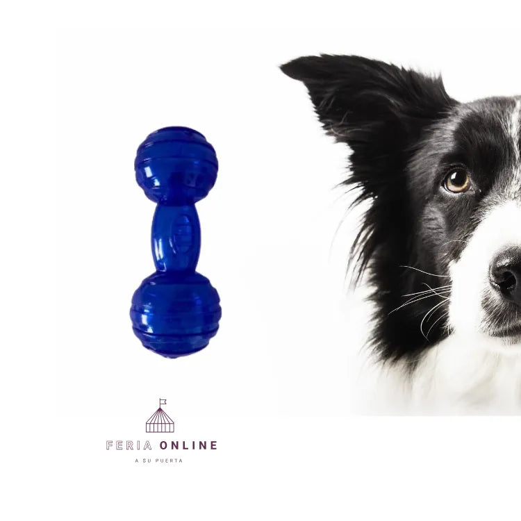 Juguete Para Perro Forma De Hueso Silicona