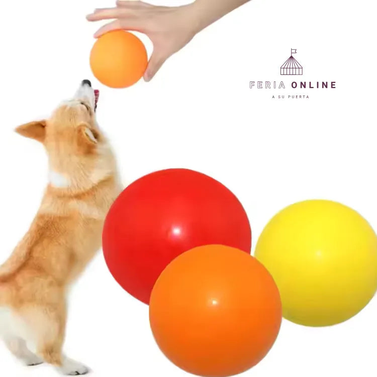 Pelota Maciza Lisa