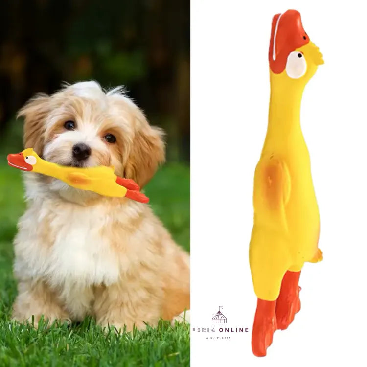 Pato Chillón 23CM
