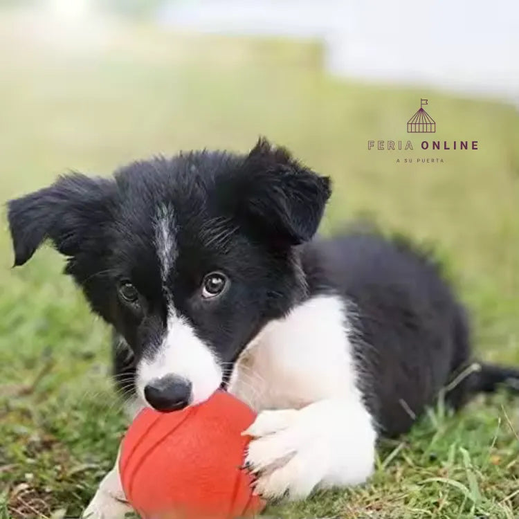 Pelota Grande TPR Para Mascotas