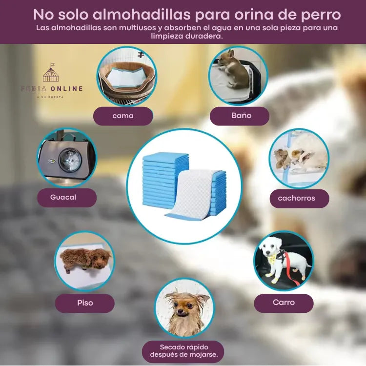 Tapete Educador, 45*33CM talla s, 100pcs/bolsa