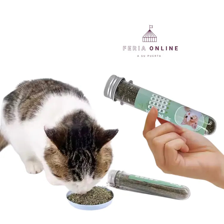 Tubo De Catnip
