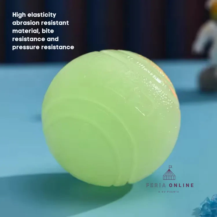 Pelota Neon Para Mascotas