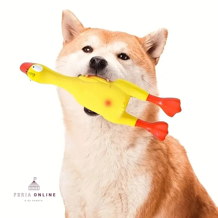 Pato Chillón 23CM