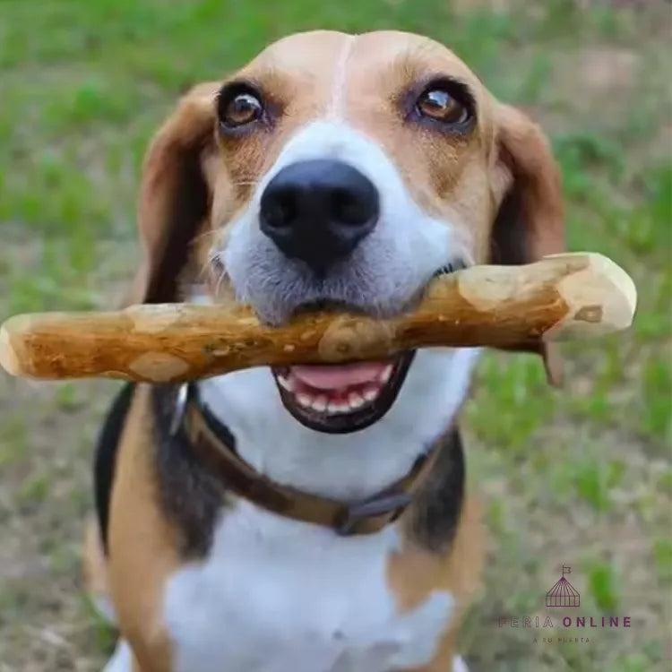 Palo de Café para Perros