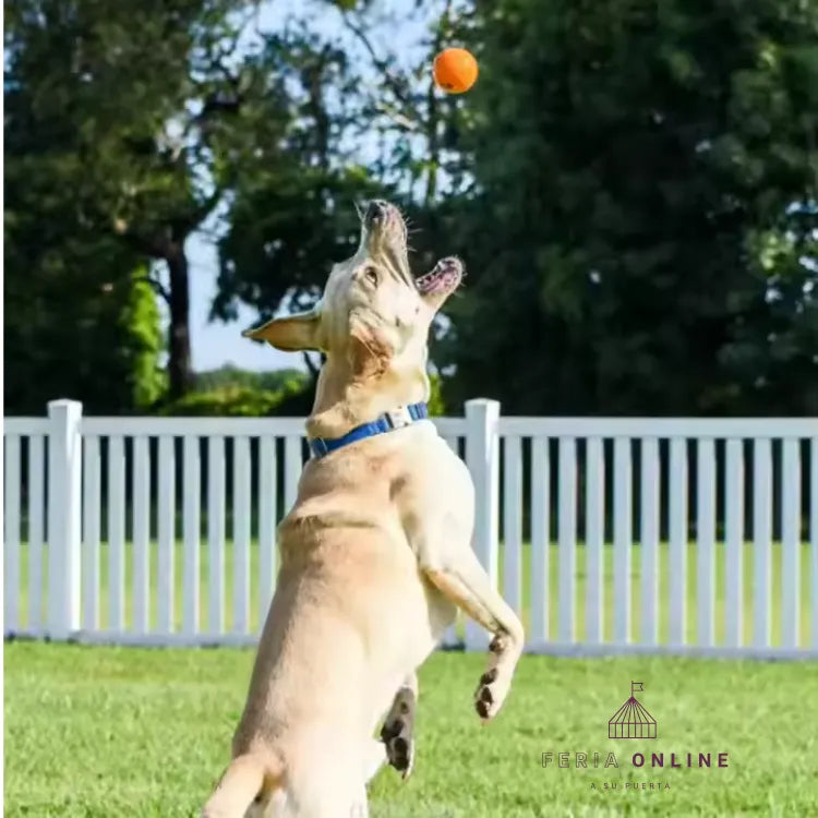Pelota Maciza Lisa