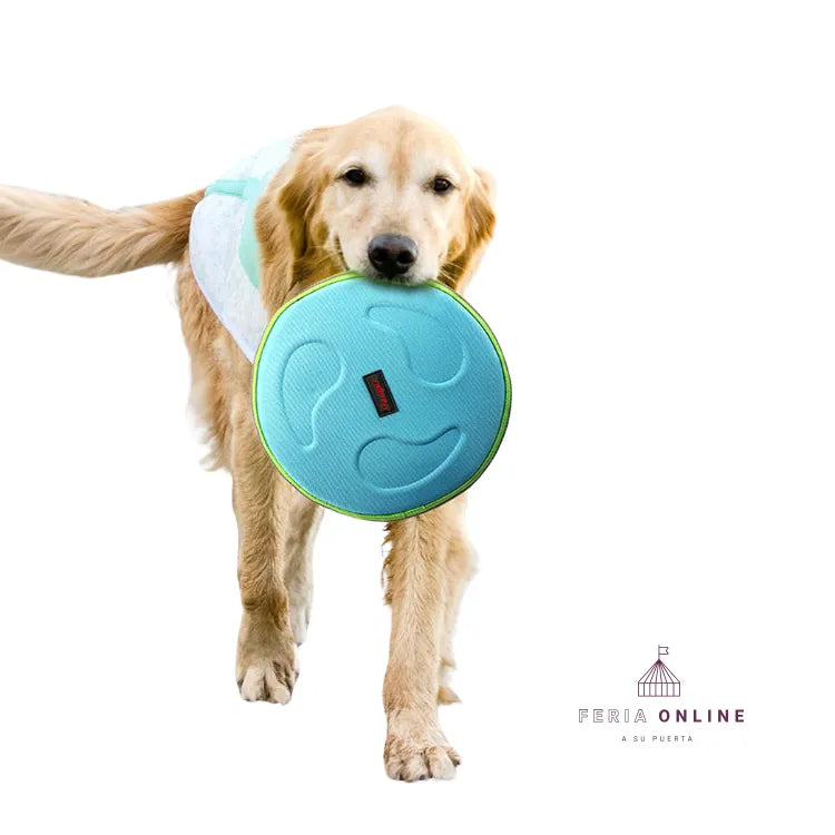 Frisbee de tela