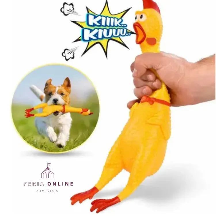 Pollo Chillón