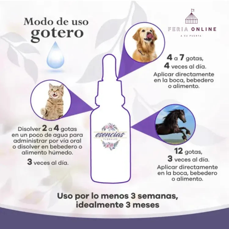 Esencias Florales Para Mascotas Presentación Gotas
