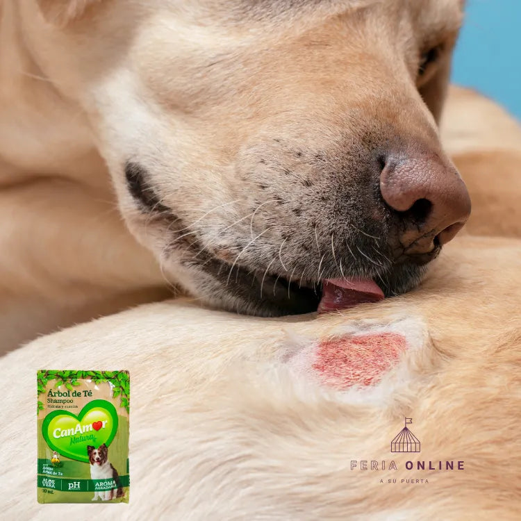 Sachet Shampoo Árbol de Té Para Perros