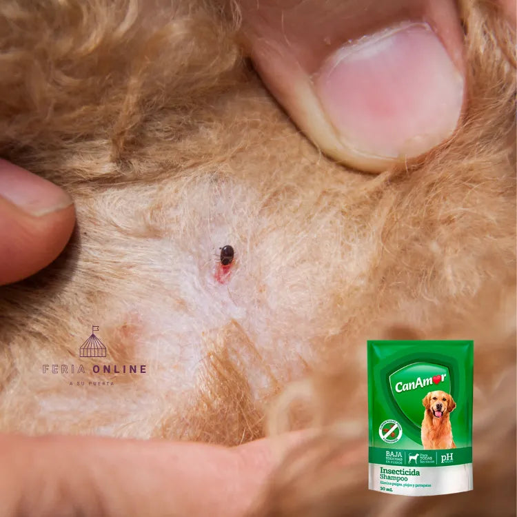 Sachet Shampoo Insecticida Para Perros