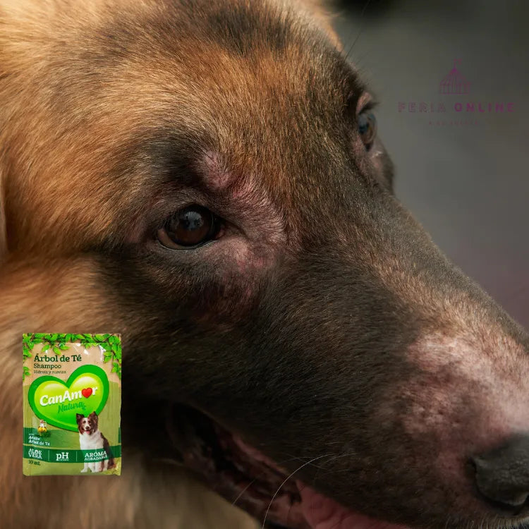 Sachet Shampoo Árbol de Té Para Perros