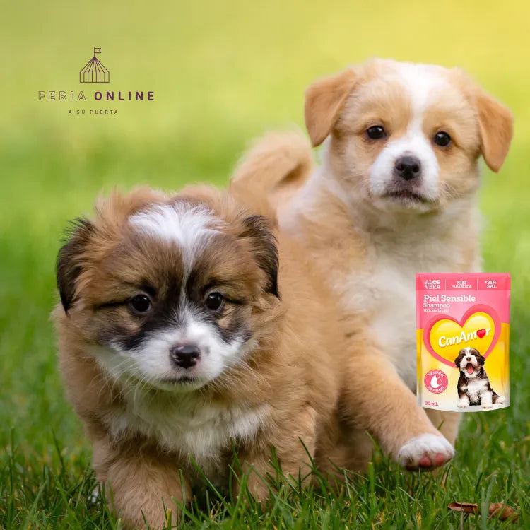 Sachet Shampoo Piel Sensible Para Perros