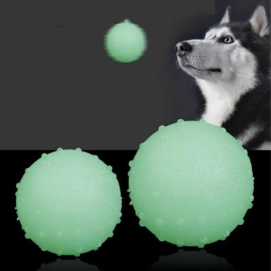 Pelota Neon Para Mascotas