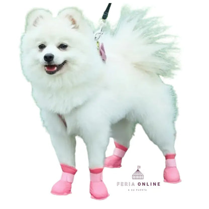 Botas de Silicona para Mascotas