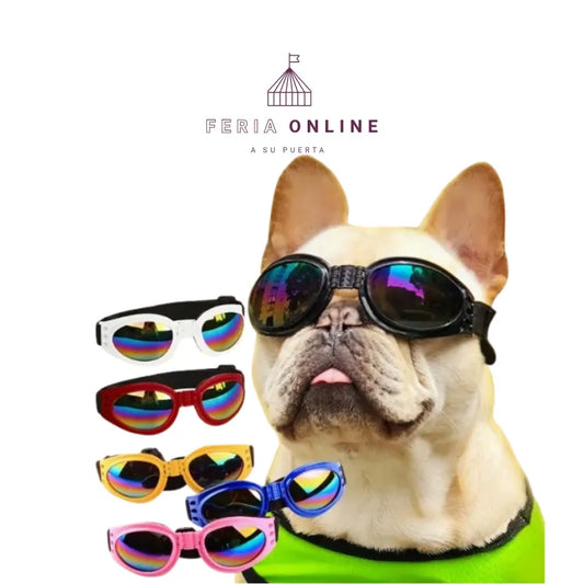 Gafas para Mascotas