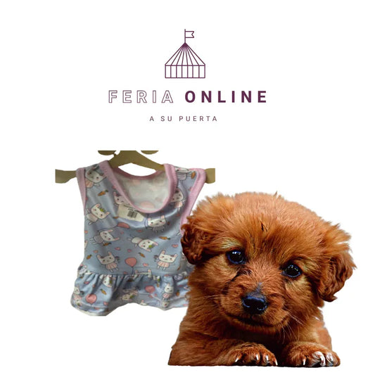 Vestido Fresco Para Mascotas