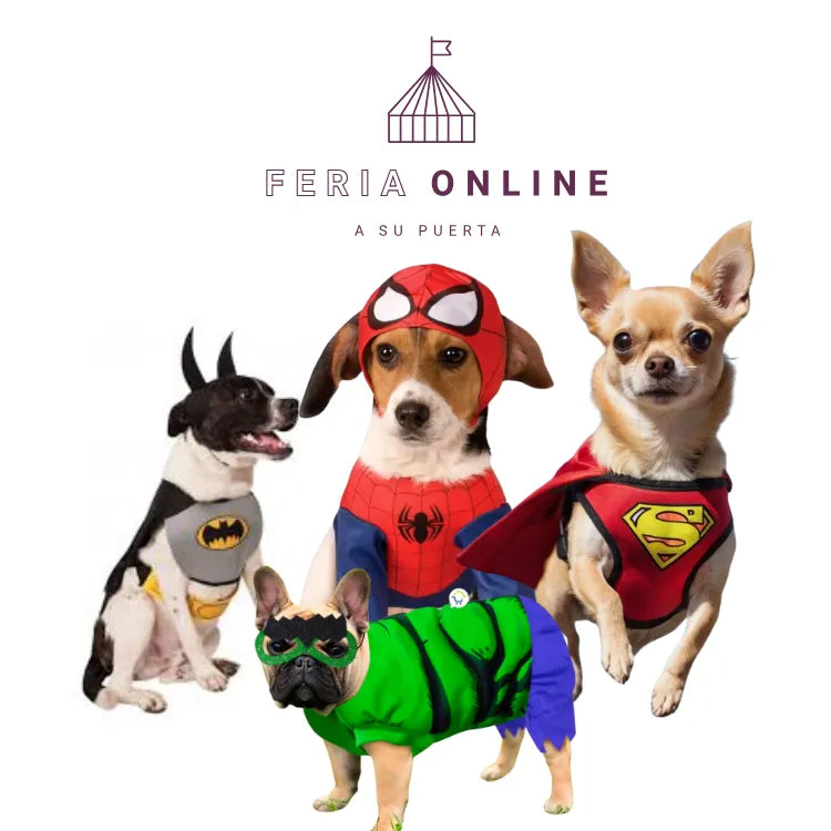 DISFRAZ SUPER HEROES