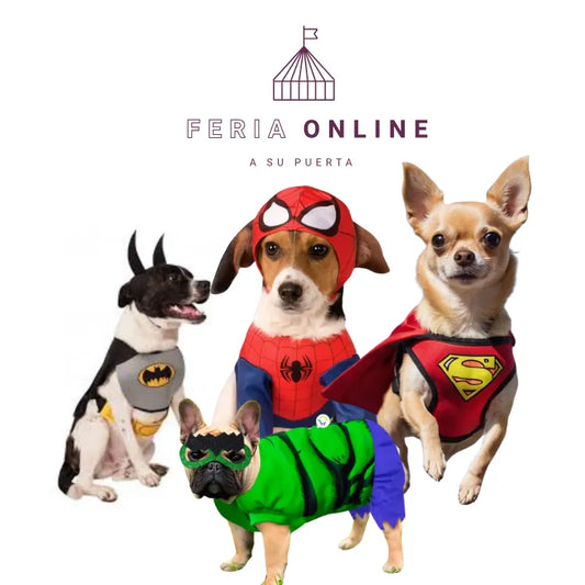 DISFRAZ SUPER HEROES
