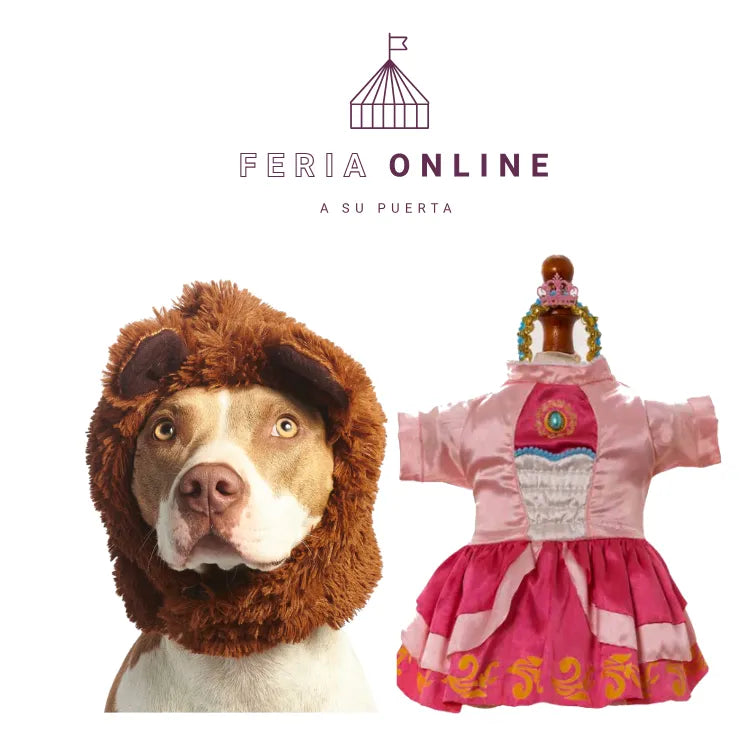 DISFRAZ DE LA PRINCESA PEACH